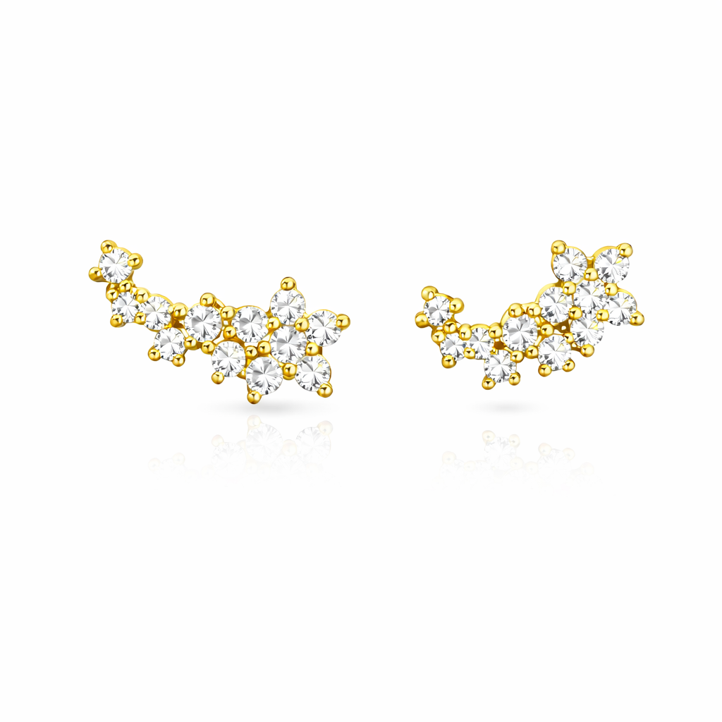 ARETES ESTRELLA FUGAZ